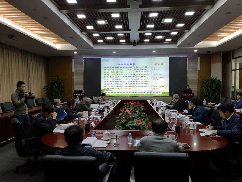 全省首个，邵阳县油茶国家气候标志通过专家评审！