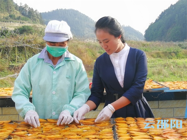 90后苗乡“红薯妹”将红薯销向全国