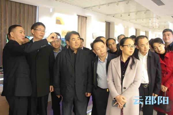 专访刘事青：“以前所未有的力度推进示范区建设”