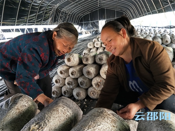 一名邵阳农妇从“特殊贫困户”到“致富带头人”的华美转身
