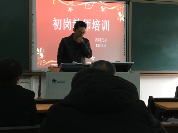西洋江镇苏河完全小学组织初岗教师培训
