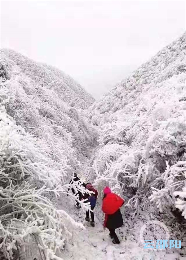 邵阳这个地方成了一个冰雪世界，风景真不错！