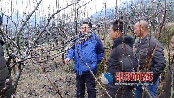 城步农业“四举措”应对冰雪灾害