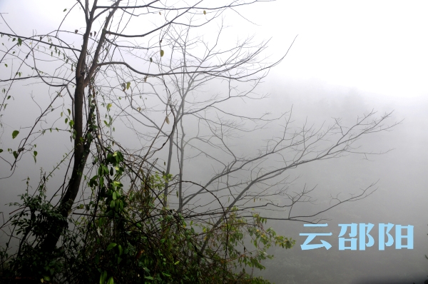 邵阳拍客|雨中云山美若仙境