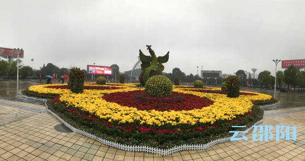 春节大型摆花正值盛花期，观赏期进入倒计时！