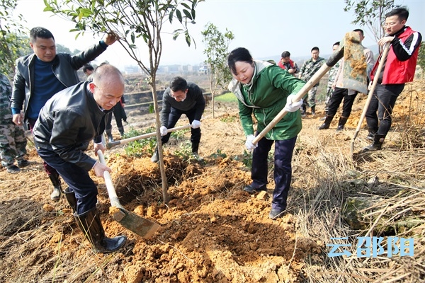 大祥区开展义务植树活动 推动生态文明建设