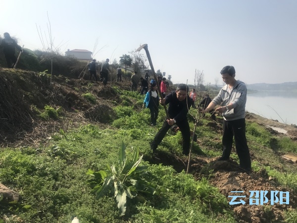 邵阳市政协机关开展义务植树活动