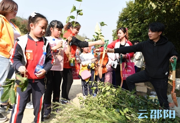 邵阳300余名志愿者开展公益植树活动