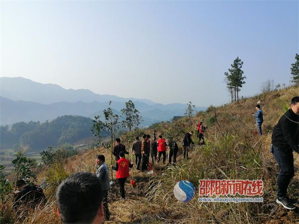 扎根基层，点缀绿意，我们在行动——新邵县潭溪镇开展义务植树活动