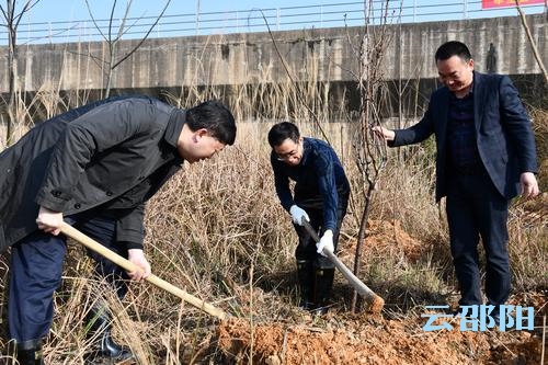新邵县植树节添绿1000余亩
