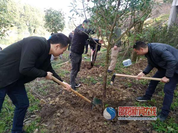 隆回县住建局参加全县义务植树活动