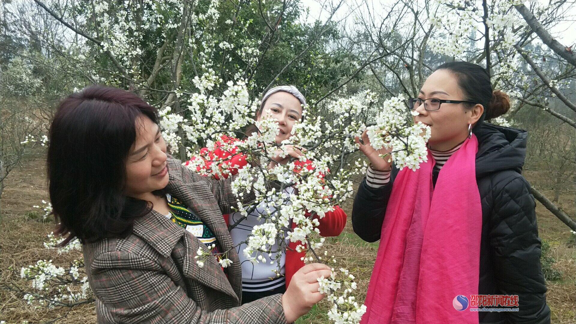 微信图片_20190317154838.jpg