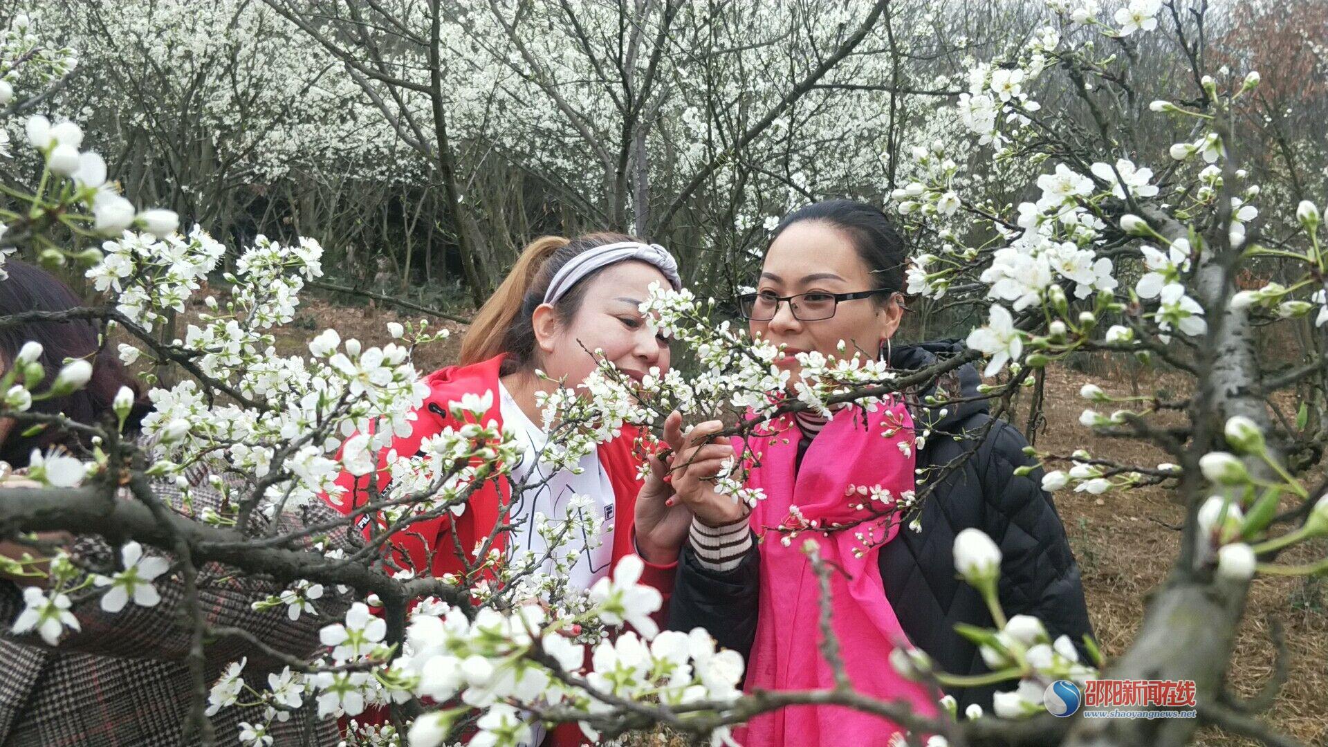 微信图片_20190317154832.jpg