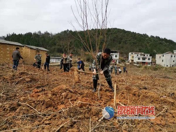 新宁县长铺村：众人携手共植树    旅游兴村盼致富