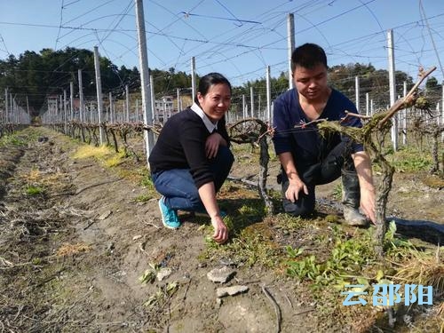 邵阳这对“扶贫伉俪”用“爱情密码”带领乡亲脱贫