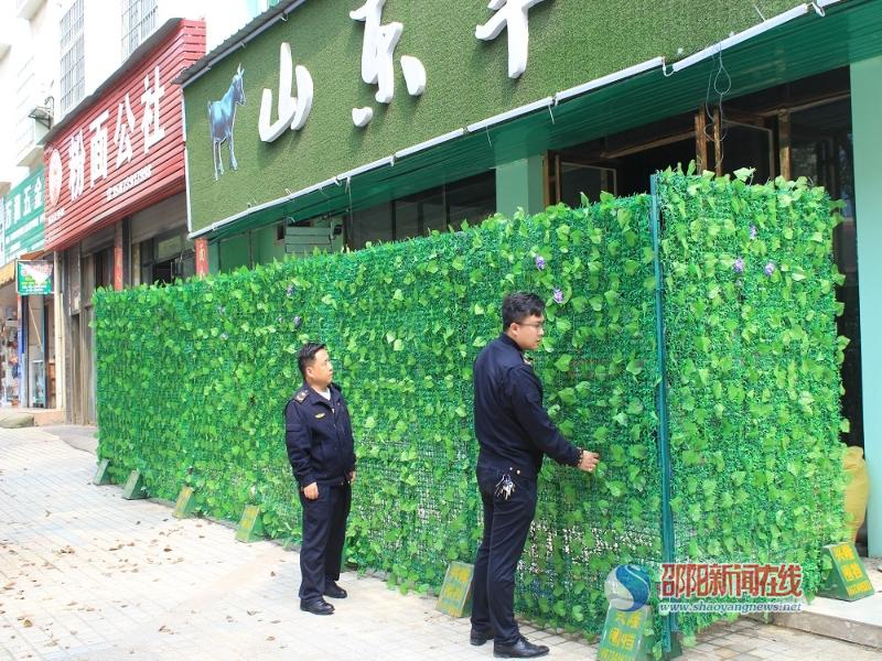 隆回：建筑工地围挡变身绿色“植物墙”