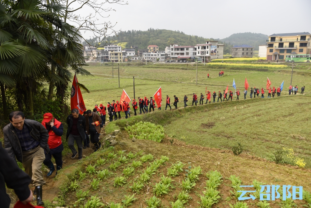 植树增绿丨邵阳市教育局为贫困村栽植“扶贫果树”