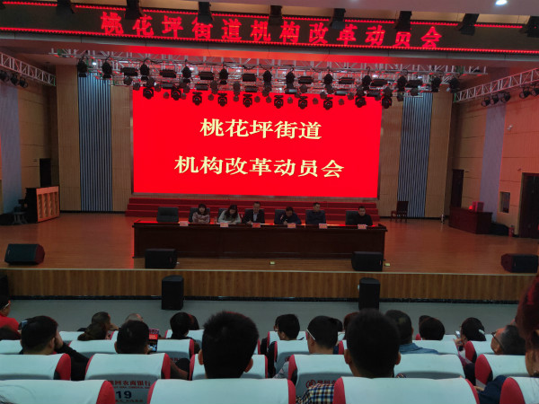 隆回县桃花坪街道召开机构改革动员大会