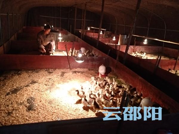 脱贫路上“向天歌”