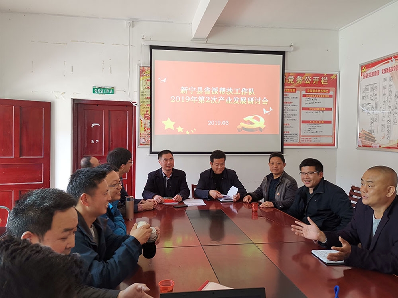 省派新宁驻村帮扶工作队第二次产业研讨会在二联村举行
