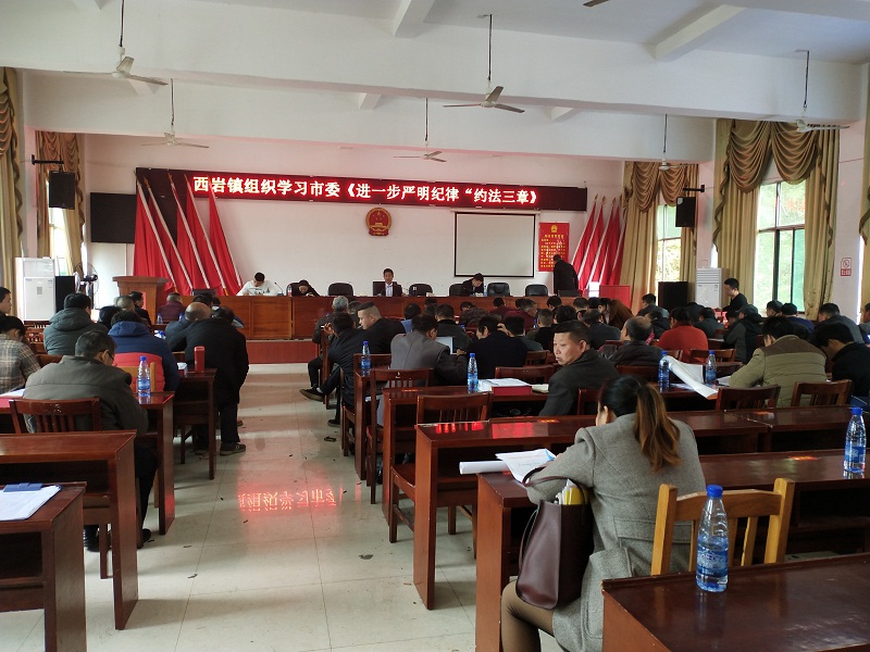 城步西岩镇学习《约法三章》严明纪律规矩