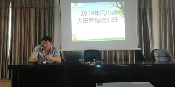 隆回县桃花坪街道召开2019年烤烟大田管理培训会