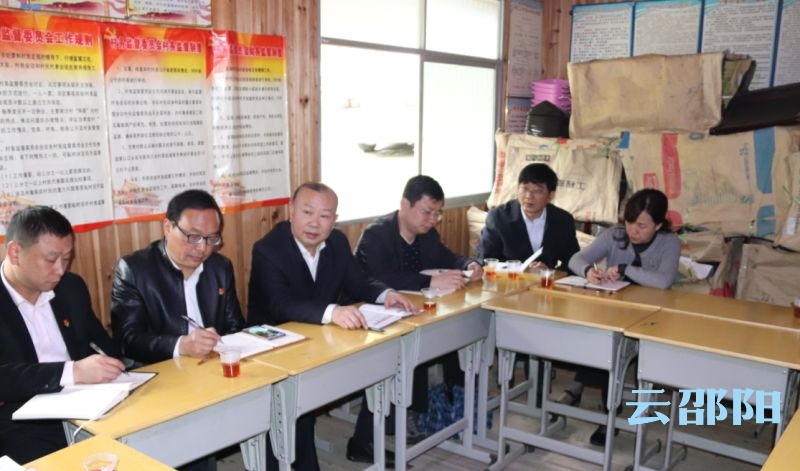罗建南深入乡镇调研指导脱贫攻坚等工作