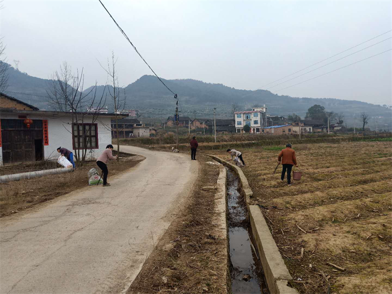 新宁县多措并举改善人居环境，联村建绿打造美丽乡村