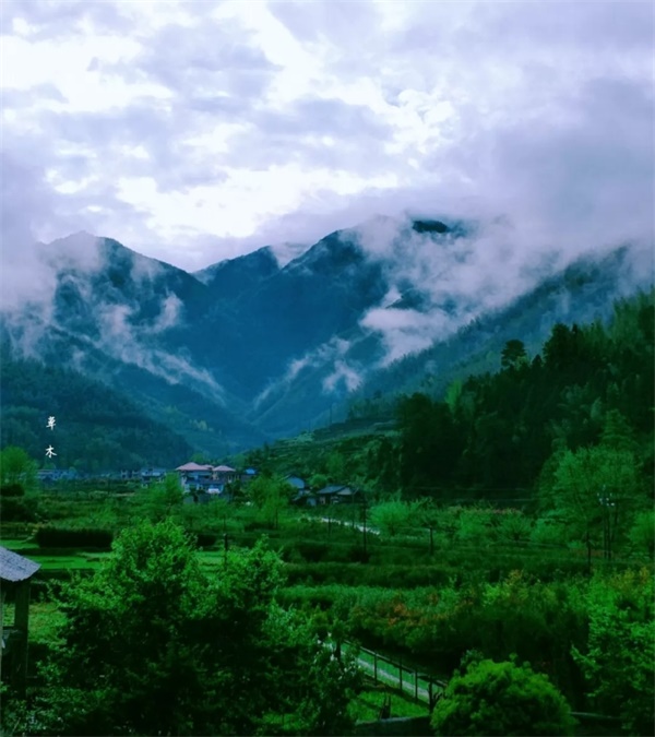 岁岁有东风