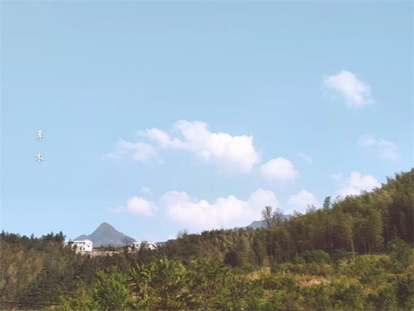 春山可望