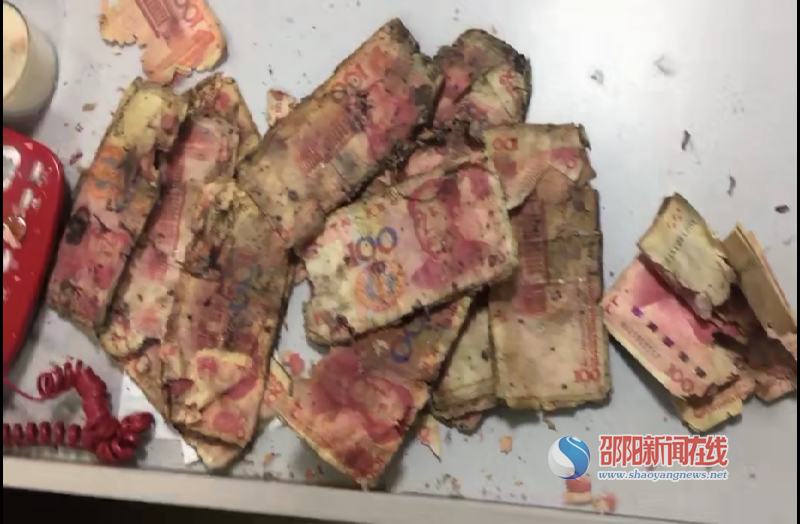 邮储银行绥宁县支行修复兑换残币，为客户挽回损失