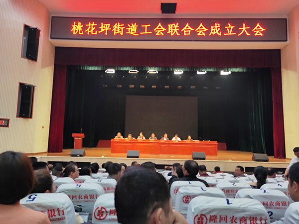 隆回县桃花坪街道召开工会联合会成立大会