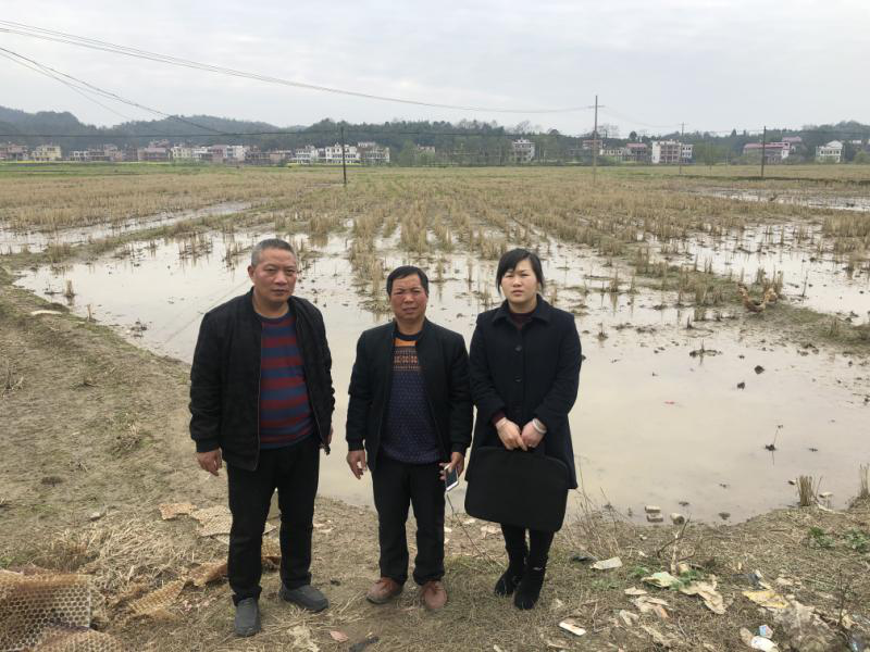 邮储银行新邵县支行立足惠农惠民，助力春耕