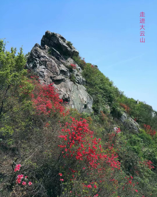 大云山啊，我亲爱的故乡