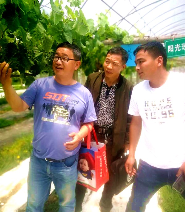 新邵县陈家坊镇葡萄种植户代表到浙江学习“取经”