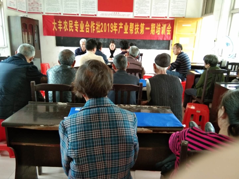 隆回县桃花坪街道叶家村“合作社+贫困户”模式，共筑脱贫致富之路