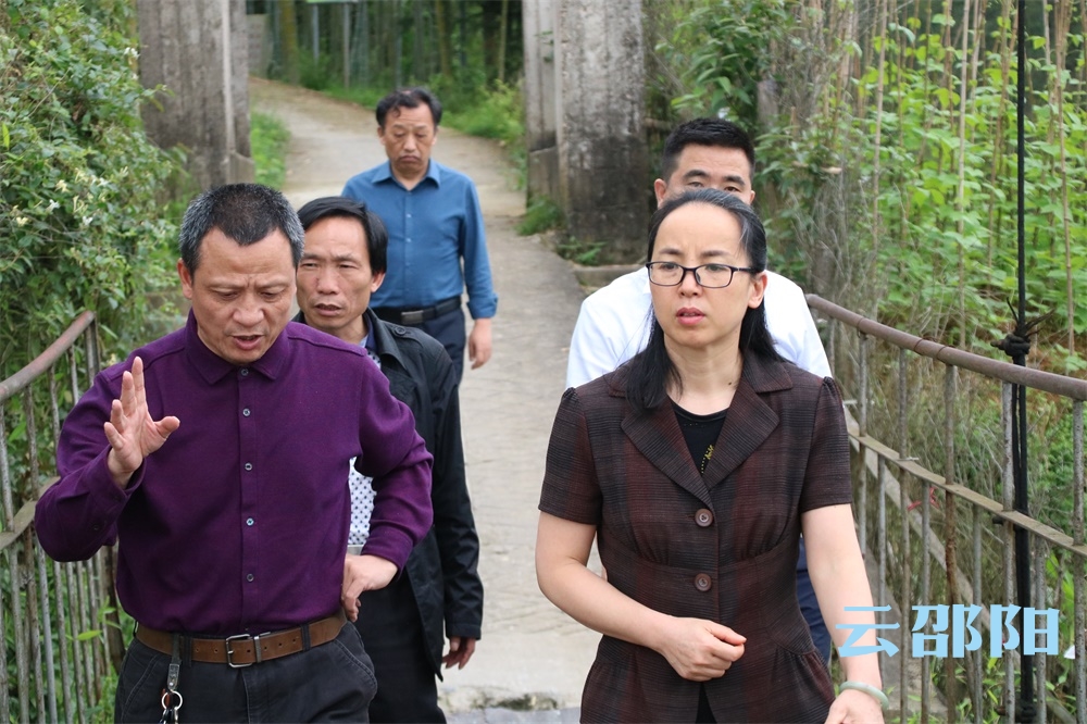 晏丽君到新宁县麻林大圳水库巡河并督查防汛工作