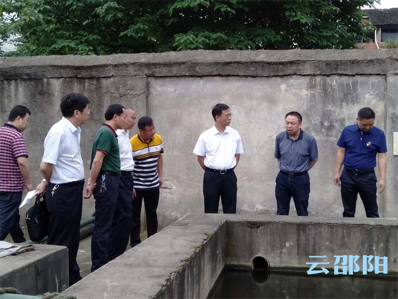 彭华松督办生态环境整改重点工作：如期保质完成生态环境问题整改