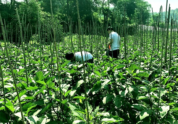 新邵县农业农村局加强高考和端午期间农产品质量安全监管