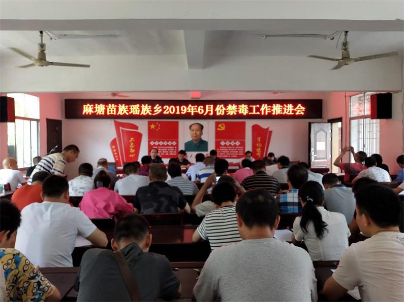绥宁县麻塘乡召开禁毒工作推进会