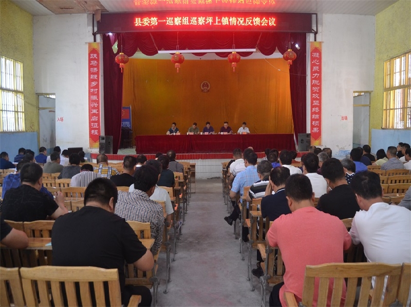 新邵县委第一巡察组向坪上镇党委反馈巡察情况