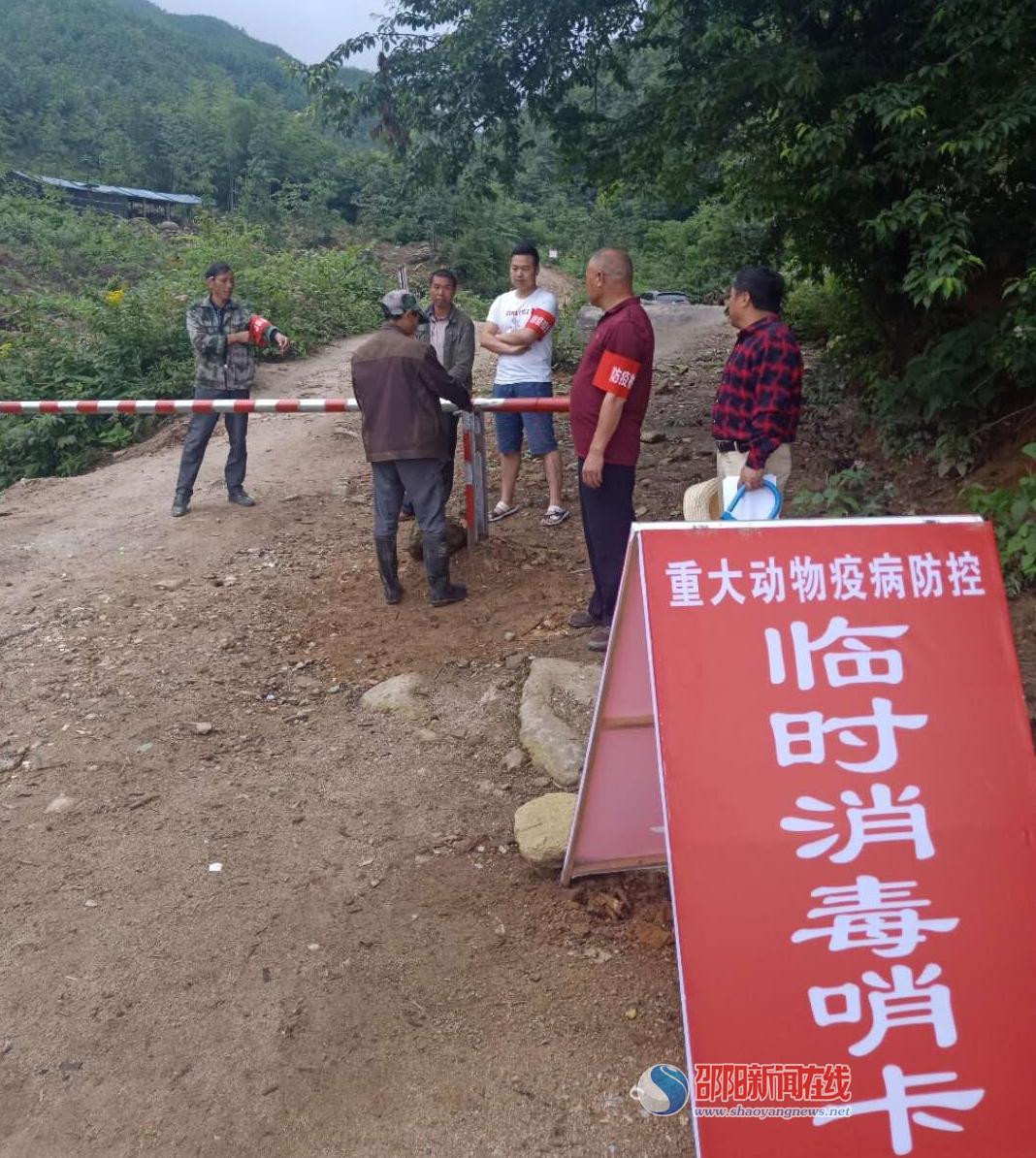新宁县麻林瑶族乡：严守省界线，坚决防控非洲猪瘟