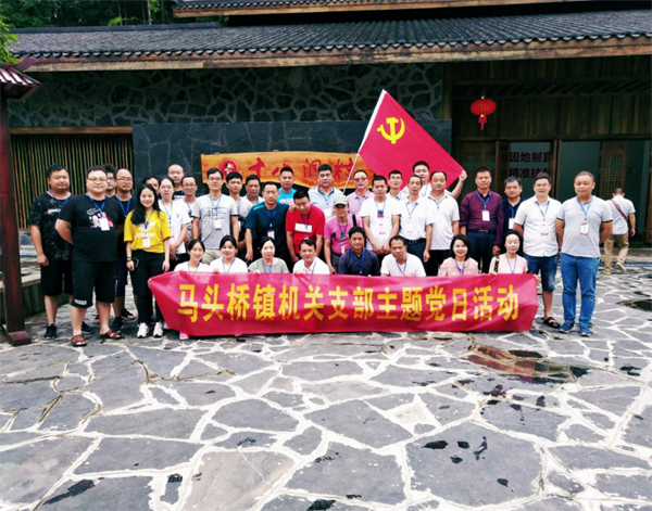 新宁县马头桥镇开展党建促扶贫活动