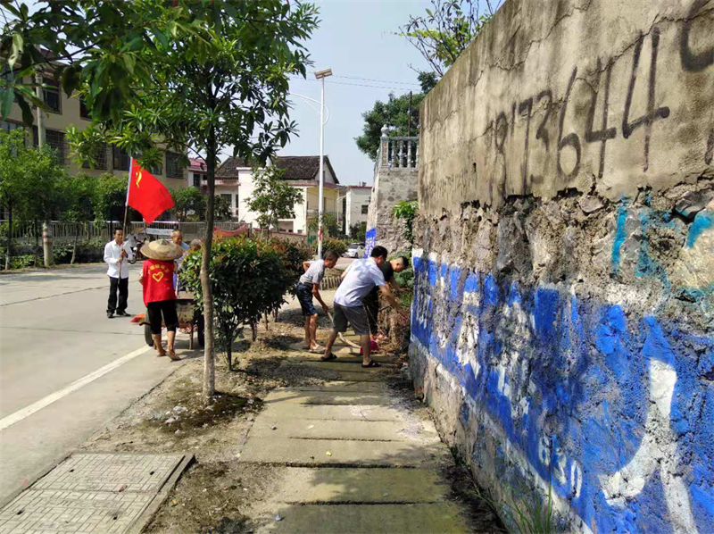发扬志愿者精神，新邵县严塘镇开展党建共建活动