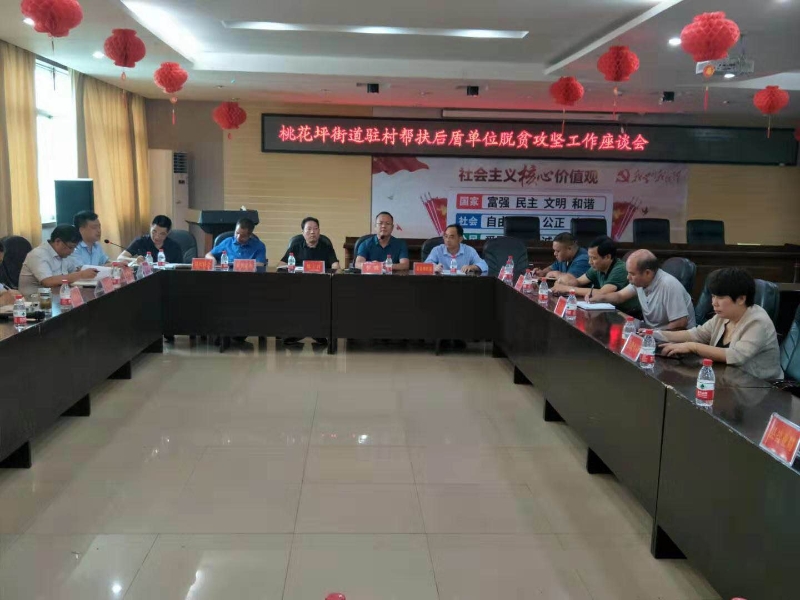 隆回县桃花坪街道召开驻村帮扶后盾单位脱贫攻坚工作座谈会