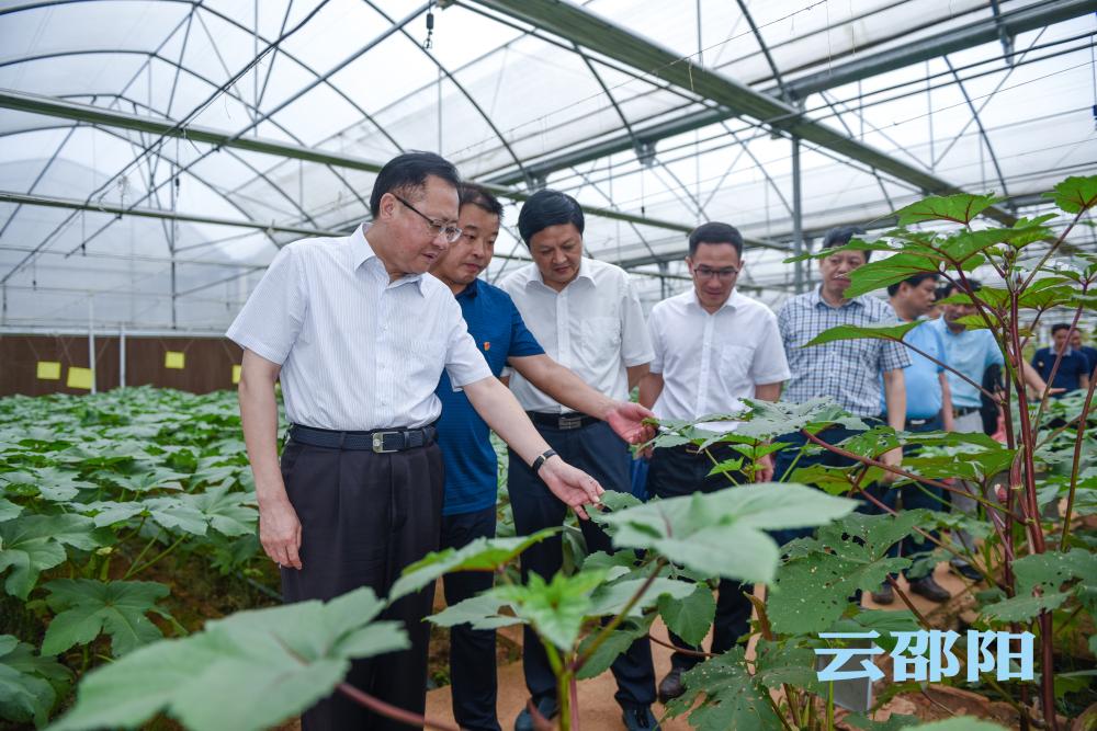 龚文密调研国家农业科技园区建设：高标准规划高质量建设  为推进农业现代化提供有力支撑