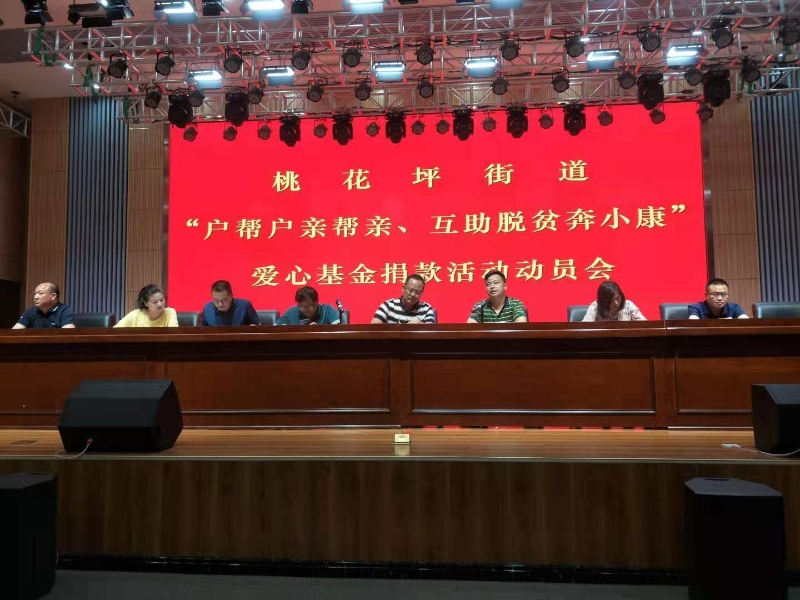 隆回县桃花坪街道召开“户帮户亲帮亲、互助脱贫奔小康”爱心基金 捐款活动动员会