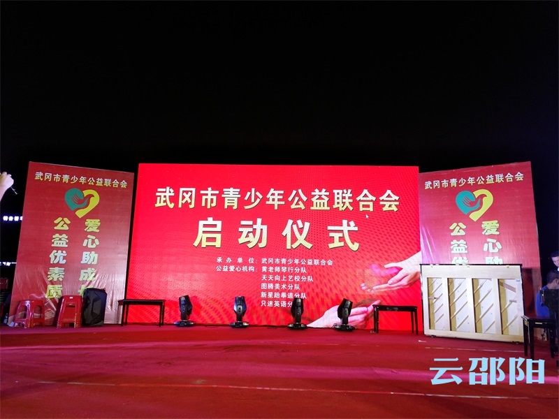 新时代文明实践新添生力军 武冈市青少年公益联合会成立