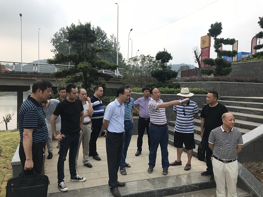 长江委对水利部交办新宁县违占河道问题整改情况进行检查