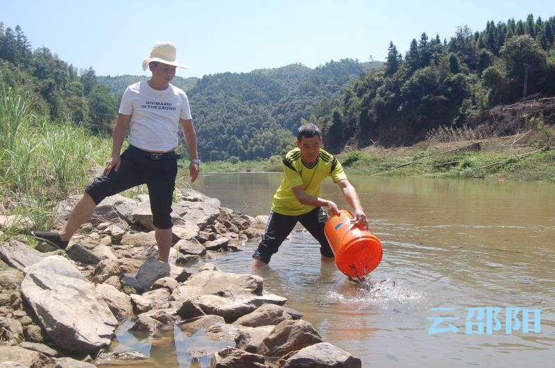 绥宁岩塘村10万尾鱼苗修复母亲河生态